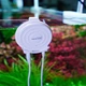 Антиводорослевый стерилизатор Chihiros Doctor Mate для аквариумов до 125 л с Bluetooth управлением - изображение 5