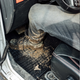 Dywaniki samochodowe Frogum El Toro Mercedes GLC X253 2015 4 szt (5902643401938) - obraz 7