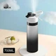 Пляшечка для води Be Fresh Black з розпилювачем, 700 мл, Chansin (106858985) - зображення 1