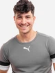 Футболка спортивна довга чоловіча Puma teamRISE Jersey 704932-13 L Сіра (4063699213294) - зображення 3
