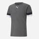Футболка спортивна довга чоловіча Puma teamRISE Jersey 704932-13 L Сіра (4063699213294) - зображення 4