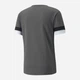 Футболка спортивна довга чоловіча Puma teamRISE Jersey 704932-13 L Сіра (4063699213294) - зображення 5