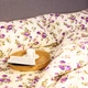 Комплект постельного белья ТЕП Happy Sleep GORGEOUS FLOWERS (Прекрасные цветы) семейный 150х215х2 - изображение 5