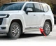 Хромированные молдинги дверей (4 шт) для Toyota Land Cruiser 300 2021- гг - изображение 3