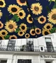 Женский зонт Fulton L354 Minilite-2 Sunflower (Подсолнух) - изображение 13