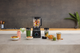 Блендер Ninja Detect Power Blender Pro & Single Serve TB301EU - зображення 7