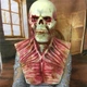 Маска латексная ручной работы Гниющий Череп на Хэллоуин Daily Necessarys 45*35 см - изображение 7