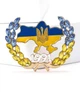 Брошь пшеница Желто-Голубая колоски колосок брошка символ Украины (849465/94165666) - изображение 1