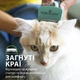 Фурминатор для котів з довгою шерстю FURminator розмір S (4048422141228) - зображення 7