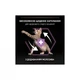 Сухой корм для кошек Purina Pro Plan Original Kitten до 12 месяцев с курицей 1.5 кг (7613036505178) (231530) - изображение 5