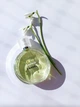 Парфюмированная Вода Chanel Chance Eau Fraiche 35 Мл - изображение 8