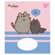 Набор школьных тетрадей YES в упаковке, 25 шт. по 18 листов, клетка, Pusheen The Cat, (767615 В) - изображение 3