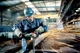 Угловая шлифовальная машина Metabo WE 17-150 Quick (601074000) - изображение 5
