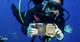 Чехол водонепроницаемый на смартфон для подводной съемки Shellbox 2 поколения (Черно-желтый) - изображение 2