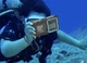 Водонепроникний чохол на iPhone для підводного знімання Shellbox 2 покоління (Чорно-блакитний) - зображення 6