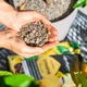 Субстрат Lechuza Citrus Pon 0.2 літри 1095 Розфасовка - изображение 4