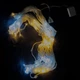 Світлодіодна гірлянда-завіса прозорий дріт 320 LED Magic Lights ліхтарики 3 х 3 м 8 режимів мульти (RZN-23092333) - зображення 10