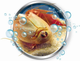 Експериментальний набір Clementoni Original Triops Maxi de Luxe 69883 (8005125592463) - зображення 4