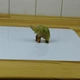 Акриловый зеркальный фон 30 х 30 см (белый) для предметной съемки - изображение 13