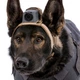 Крепление камеры MOHOC K9 Mount для собак Койот (2000000198514) - изображение 4