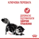 Корм Royal Canin Digest Sensitive влажный для котов с чувствительным пищеварением 85 гр - изображение 7