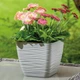 Горшок для цветов Sahara mini kwadro-23 7,2 л серый Form-Plastic 3650-055 - изображение 2
