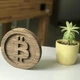 3D Пазл Картонный Daisy Криптовалюта Биткоин Bitcoin 97 деталей - изображение 2