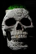 3D Пазл Картонный Daisy Череп Skull 94 детали - изображение 7