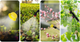 Opryskiwacz akumulatorowy Plonos PL-602 Green (5903890626723) - obraz 14
