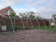 Теплица тунельная Greenhouse 18м2 (600х300х200) - изображение 5