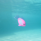Інтерактивна іграшка Swims Rainbow Reef Fish Rainbow Fish 6072523 (681147058729) - зображення 3