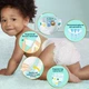 Підгузки Pampers Premium Care розмір 7 (15+ кг), 108 шт, комплект на місяць - зображення 3