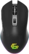 Миша Gembird MUSGW-6BL-02 Wireless Black - зображення 1