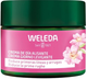 Krem nawilżający do twarzy Weleda z dzikiej róży i białej herbaty na dzień 40 ml (4001638589727) - obraz 1