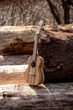 Укулеле Ortega Timber RFU11Z Concert Zebrawood (с чехлом) (R128673) - изображение 16
