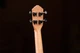 Укулеле Ortega Timber RFU11Z Concert Zebrawood (с чехлом) (R128673) - изображение 18
