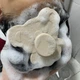 Дитяча силіконова щіточка мочалка для купання, миття та очищення голови, для новонароджених, Шавлія, 1 шт. - зображення 2