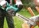 Электропила цепная Parkside PKS 1600 B2 (1600 Вт, 42 см) - изображение 7