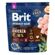 Brit Premium Adult S 1 кг (курица) сухий корм для дорослих собак дрібних порід (вагою до 10 кг) - зображення 1