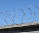 Заграждение из колючей проволоки Кайман ЗКР-С «Концертина-450/3» - изображение 1
