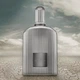 Духи для мужчин Tom Ford Grey Vetiver Parfum 100 мл - изображение 3