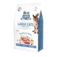 Сухий корм для котів великих порід Brit Care Cat GF Large cats Power & Vitality 400 г (курка і качка) - зображення 2