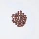 Сухой корм Carnilove True Fresh Cat для взрослых кошек, с индейкой, 1,8 кг - изображение 2