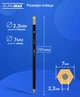 Набор графитовых карандашей Buromax НВ пластиковый с ластиком 100 шт (BM.8514) - изображение 4