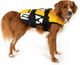 Жилетка Ezydog Life jacket S 9 - 20 кг жовта (5708214988545) - зображення 2