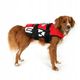 Kamizelka Ezydog Life Jacket XXS 22 - 30 cm czerwona (5708214954021) - obraz 2