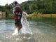 Kamizelka Ezydog Life Jacket XXS 22 - 30 cm czerwona (5708214954021) - obraz 6