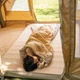 Спальник Naturehike L150 NH20MSD05 правий, (13°C), рожевий - изображение 3