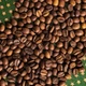 Кава в зернах "Смакова БОМБА" купаж 60% 40% свіжого обсмаження 1 кг - зображення 1