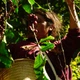 Кофе в зернах 100% арабика Honduras Finca La Valentina свежеобжаренный 1 кг - изображение 8